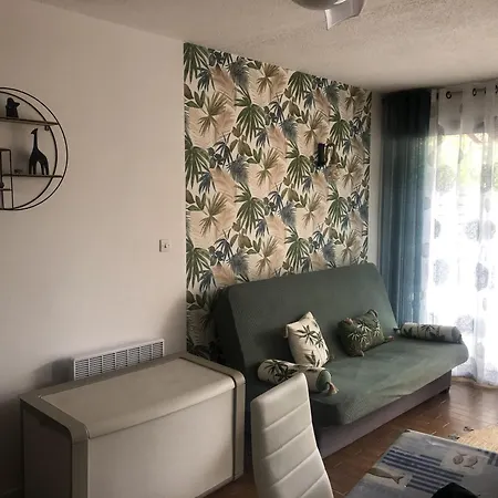 Cyprien - T2 Rdc 4p Avec Piscine, Proche Et Port, Parking Privé, Animaux Admis - Fr-1-793-7 *