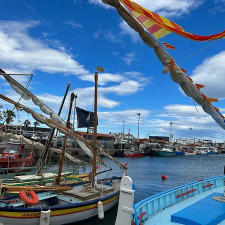 Cyprien - T2 Rdc 4p Avec Piscine, Proche Et Port, Parking Privé, Animaux Admis - Fr-1-793-7 Appartamento *